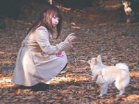 良いコミュニケーションの例3